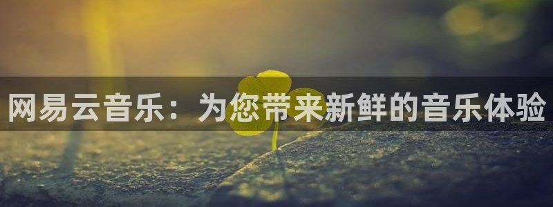 沐鸣2平台招商