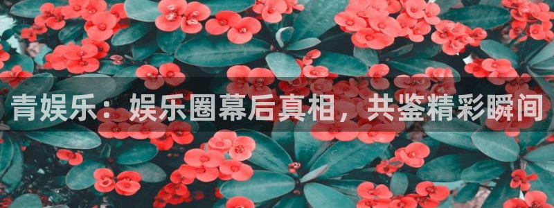 沐鸣平台登录